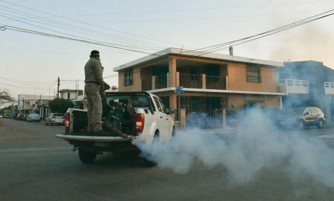 Fumigación en Mérida
